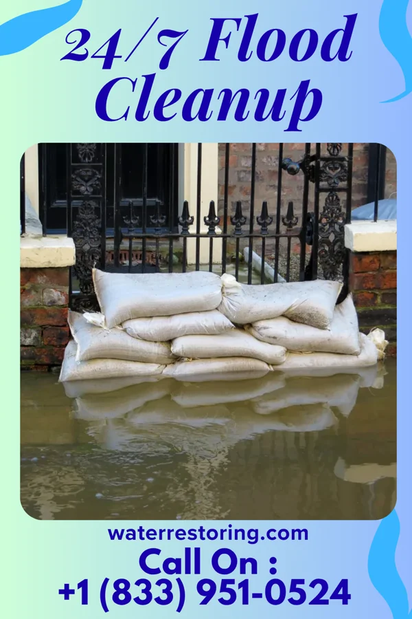 24/7 Flood Cleanup in Indian Creek, IL