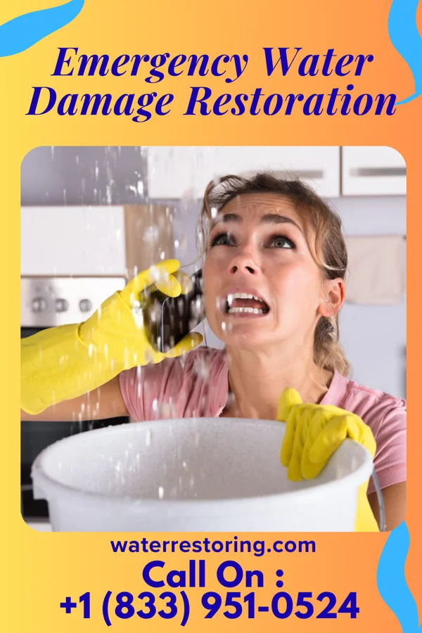 Emergency Water Damage Restoration in Indian Creek, IL