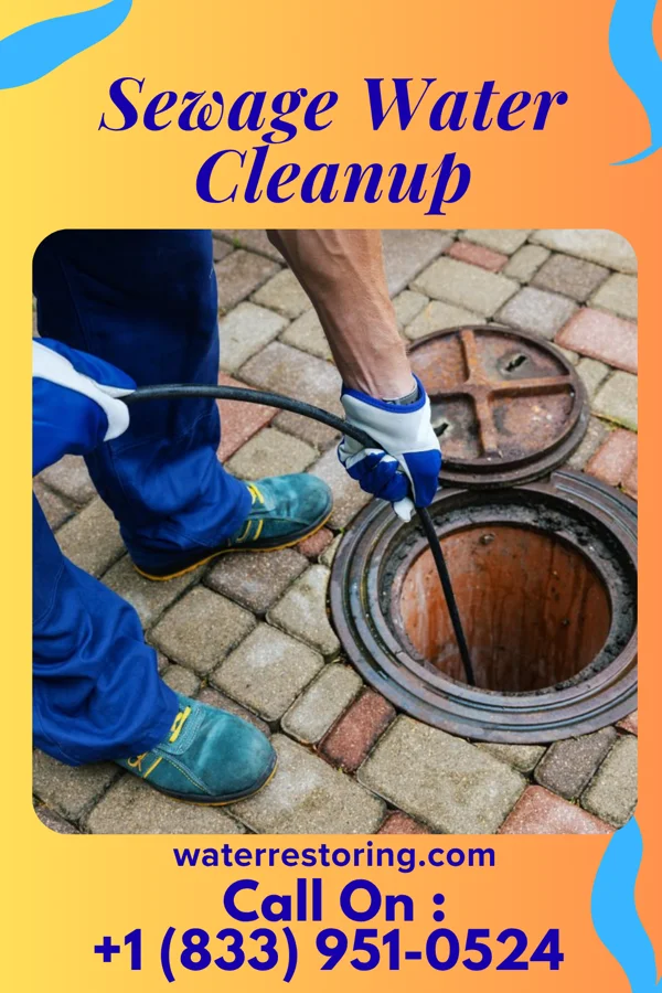 Sewage Water Cleanup in Indian Creek, IL